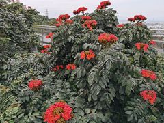 -仙岳公园