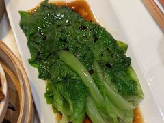 -金鼎轩(亚运村店)