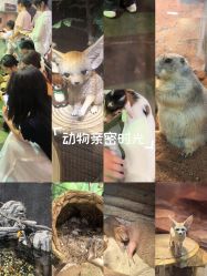 -Zoolung Zoolung动物主题公园(海信广场店)