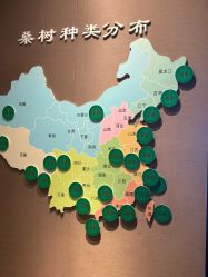 点击看大图 -太湖雪蚕桑文化园