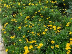 -白鹭湾湿地公园