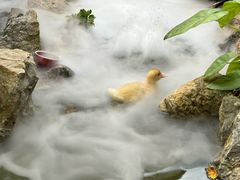 -伴山茶苑·一盏冰茶·半日山居