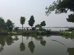 -鹅湖玫瑰文化园