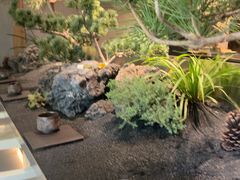 -曲廊院(东四十一条店)