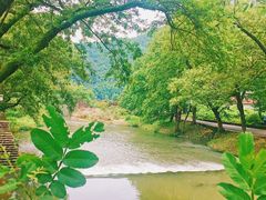 -鹿亭中村
