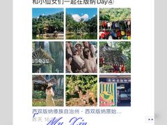 -西双版纳原始森林公园