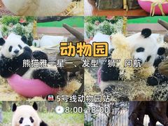 -广东科学中心