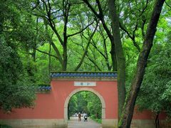 -灵谷景区