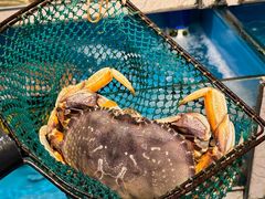 -鲜炉季港式打边炉(尚海湾店)