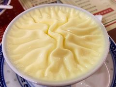 双皮奶-捷信牛奶甜品世家(五道口店)