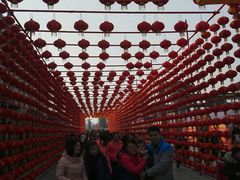 -西安汉城湖景区