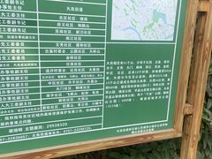 -佛山华盖山公园