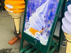 -富田农场