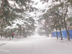 -东北大学(南湖校区)