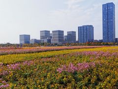 -映月湖中央公园