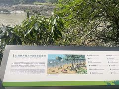 -福田红树林生态公园