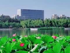 -北京电力医院