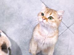 -极木²邸 人与宠物·互动社区