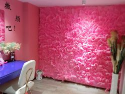 -诗丽华黛美容院