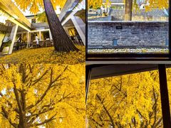 -自如ZSPACE四合院艺术餐厅
