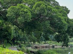 -南国桃园旅游度假区