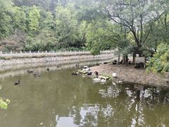 -黔灵山公园-南门售票处