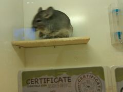 -龙猫仔乐园(惠福东路店)