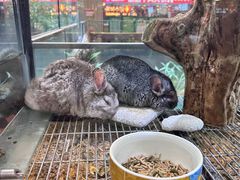 -凯德广场(学府店)