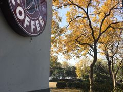 -COSTA COFFEE(西湖天地店)