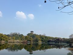 -张坝桂圆林公园