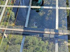 -九龙江国家森林公园