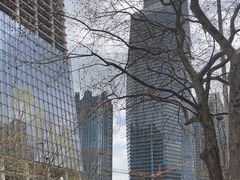 -八大关景区