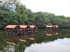 -侨美·唐荔园·40年地道粤菜