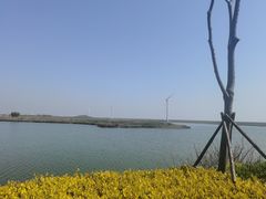 -启东黄金海滩景区