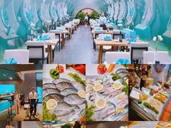-海棠湾洲际-涛·海底餐厅·美人鱼·自助餐·海底隧道