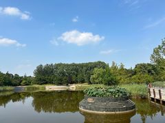 -大望京公园