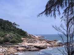-广东惠东海龟国家级自然保护区