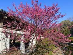 -蠡湖大桥公园