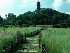 -红花山公园