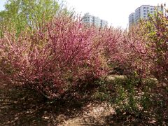 android_upload_pic-长春公园(普阳街道)