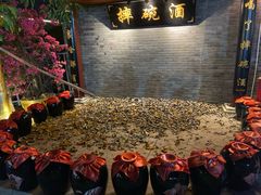 -三亚红色娘子军演艺公园景区