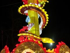 -淄博花灯齐彩城