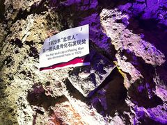 -北京周口店北京人遗址博物馆