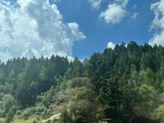 -芦芽山旅游度假区