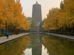 -玲珑塔公园