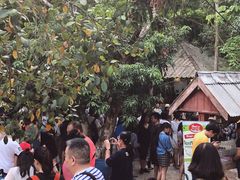 -Bamboo Saturday Market(Nana Jungle)