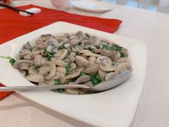 -松鹤楼(狮山永利广场店)