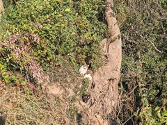 -上海市保健医疗中心