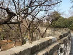 -南京城墙景区