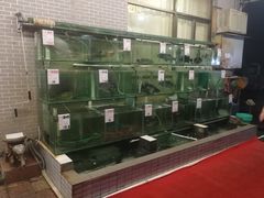水产区-祈胜邨•顺德鱼生•顺德菜(容桂店)